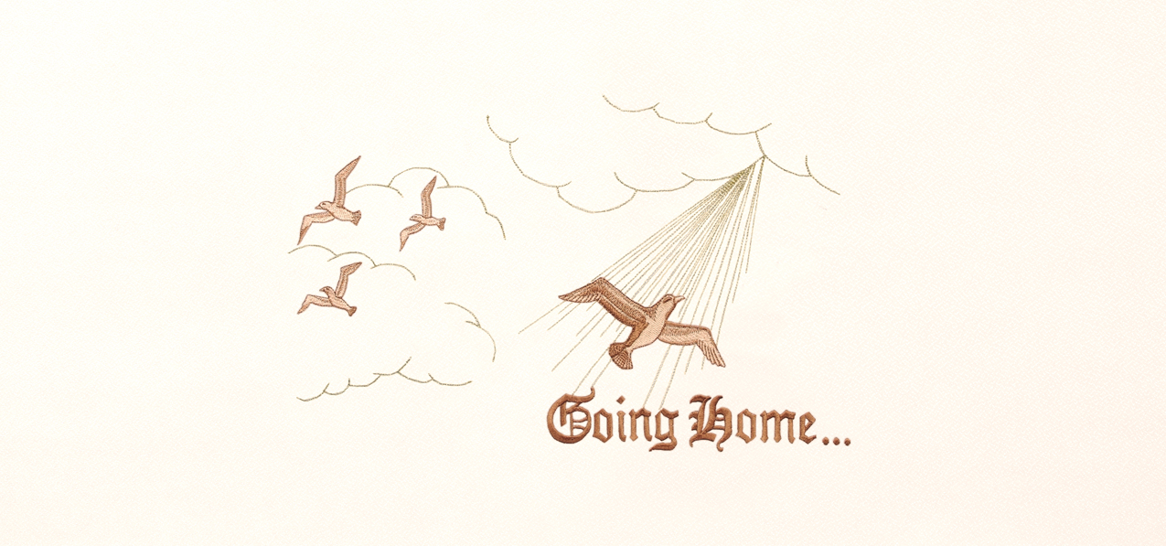 P 512 CP RT Going Home Cooper Rosetan Faux